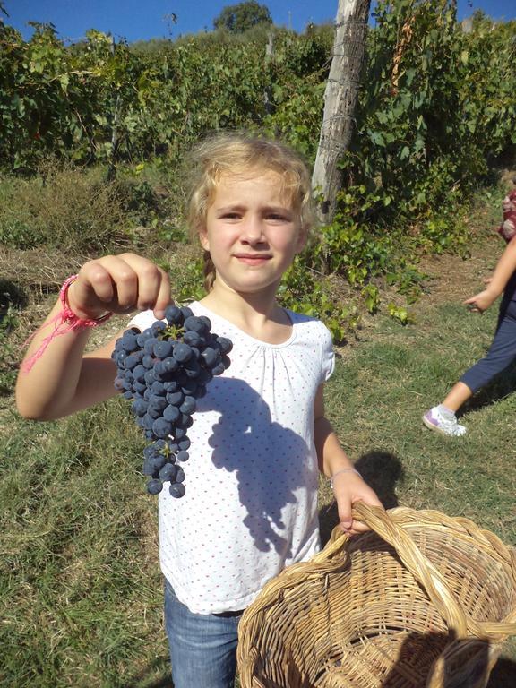 Fattoria Di Castiglionchio Villa Rosano  Екстериор снимка