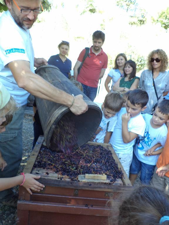 Fattoria Di Castiglionchio Villa Rosano  Екстериор снимка