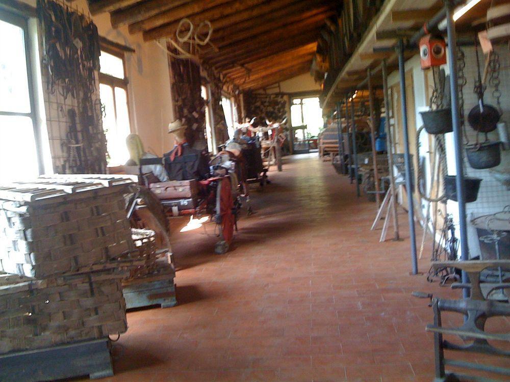 Fattoria Di Castiglionchio Villa Rosano  Екстериор снимка